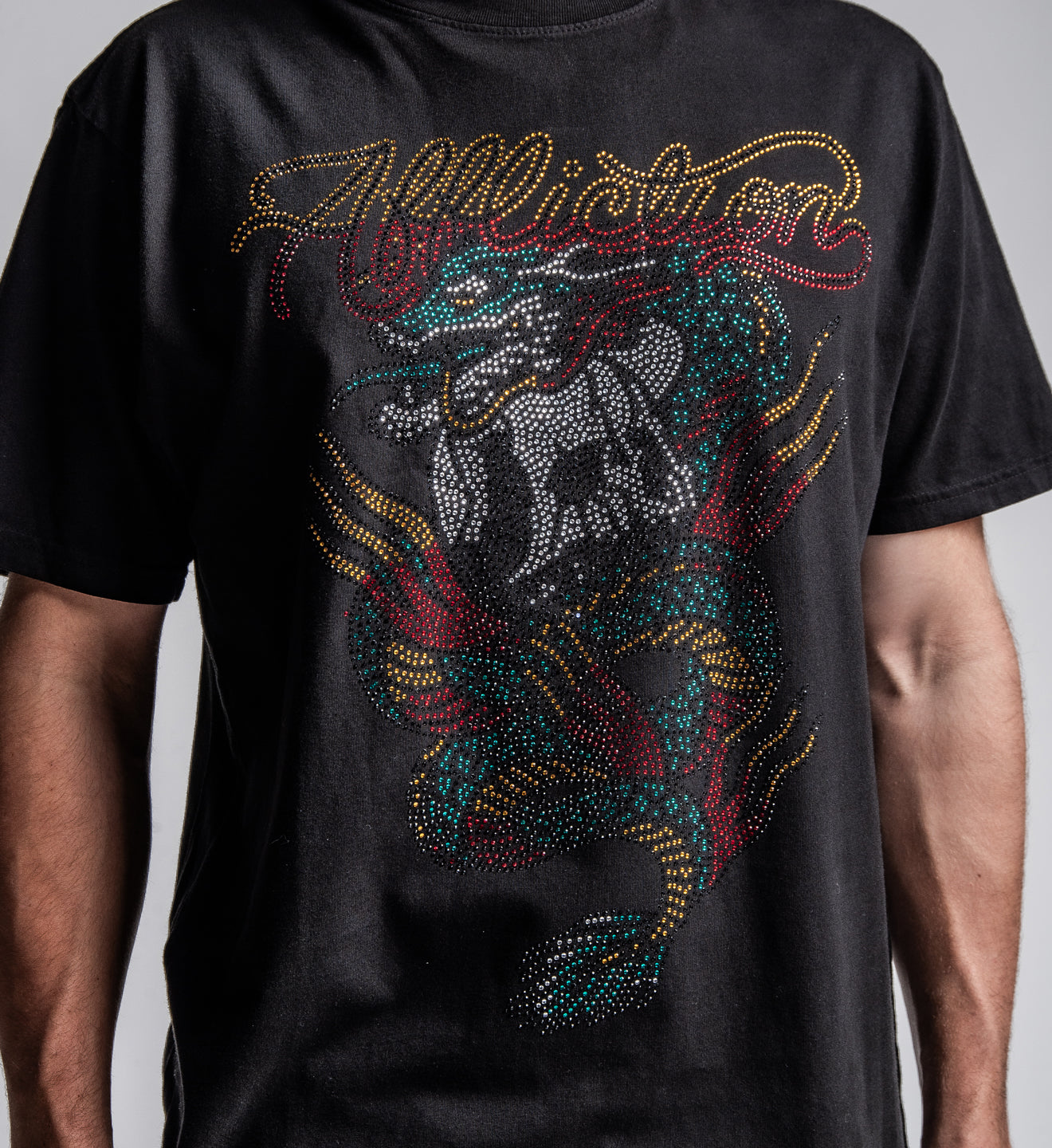 Dragon Night Tee